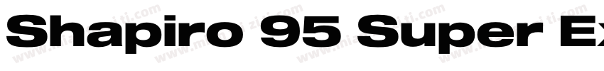 Shapiro 95 Super Extd字体转换